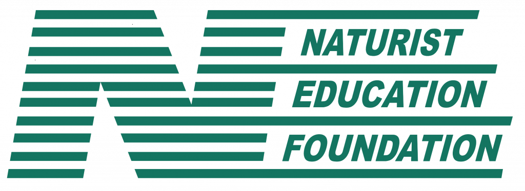 NEF-LOGO2-PNG